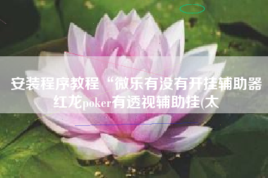 安装程序教程“微乐有没有开挂辅助器红龙poker有透视辅助挂(太