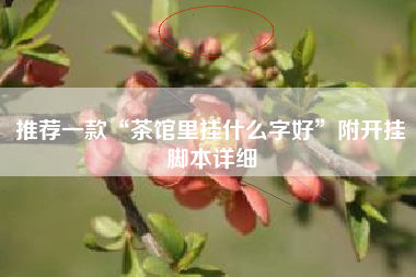 推荐一款“茶馆里挂什么字好”附开挂脚本详细