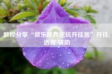 教程分享“微乐陕西挖坑开挂器”开挂(透视)辅助