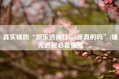 真实辅助“微乐透视挂app是真的吗”(曝光透视必备猫腻