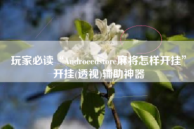 玩家必读“Androeedstore麻将怎样开挂”开挂(透视)辅助神器
