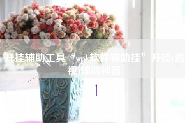 开挂辅助工具“wpk软件辅助挂	”开挂(透视)辅助神器