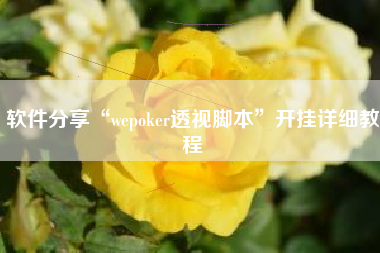 软件分享“wepoker透视脚本”开挂详细教程