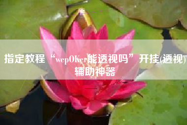 指定教程“wepOKer能透视吗”开挂(透视)辅助神器