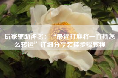 玩家辅助神器：“最近打麻将一直输怎么转运”详细分享装挂步骤教程