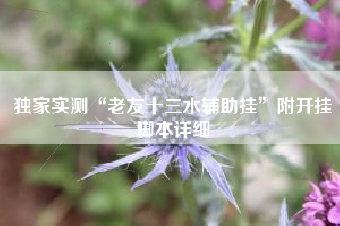 独家实测“老友十三水辅助挂”附开挂脚本详细