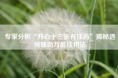 专家分析“开心十三张有挂吗”揭秘透视辅助万能挂用法