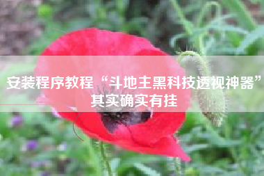 安装程序教程“斗地主黑科技透视神器	”其实确实有挂