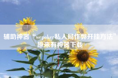 辅助神器“wepoker私人局作弊开挂方法	”原来有神器下载