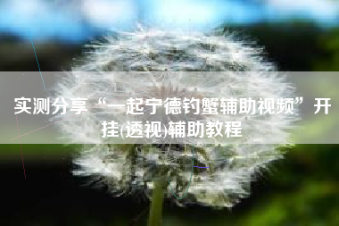 实测分享“一起宁德钓蟹辅助视频”开挂(透视)辅助教程