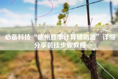 必备科技“德州胜率计算辅助器	”详细分享装挂步骤教程