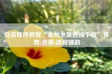 安装程序教程“金州水鱼透视下载	”作弊(透视)透视辅助