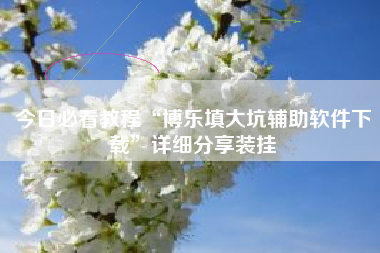 今日必看教程“博乐填大坑辅助软件下载	”详细分享装挂