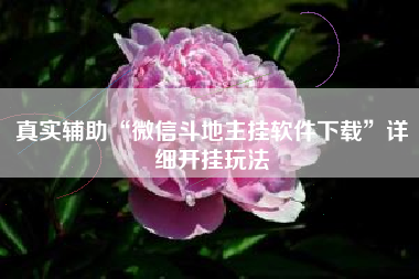 真实辅助“微信斗地主挂软件下载”详细开挂玩法