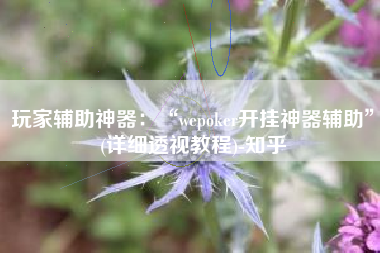 玩家辅助神器：“wepoker开挂神器辅助”(详细透视教程)-知乎