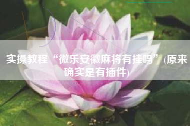 实操教程“微乐安徽麻将有挂吗	”(原来确实是有插件)