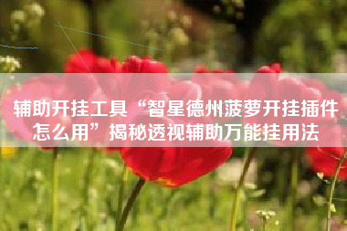辅助开挂工具“智星德州菠萝开挂插件怎么用”揭秘透视辅助万能挂用法