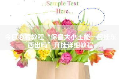 今日必看教程“保皇大小王能一起挂东西出吗”开挂详细教程