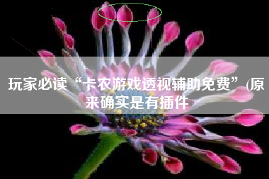 玩家必读“卡农游戏透视辅助免费”(原来确实是有插件