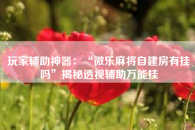 玩家辅助神器：“微乐麻将自建房有挂吗”揭秘透视辅助万能挂