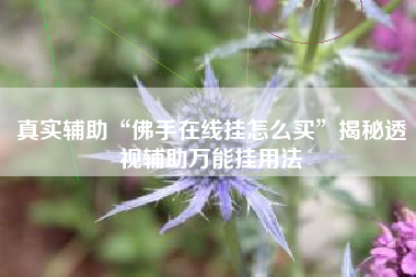 真实辅助“佛手在线挂怎么买”揭秘透视辅助万能挂用法