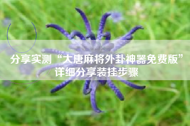 分享实测“大唐麻将外卦神器免费版”详细分享装挂步骤