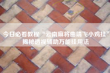 今日必看教程“云南麻将曲靖飞小鸡挂	”揭秘透视辅助万能挂用法
