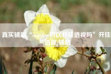 真实辅助“appoker可以开挂透视吗”开挂(透视)辅助
