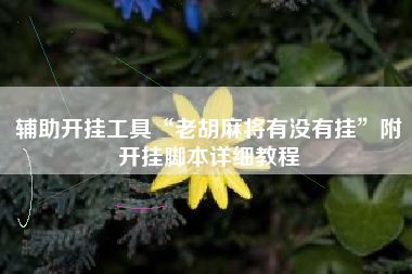 辅助开挂工具“老胡麻将有没有挂”附开挂脚本详细教程