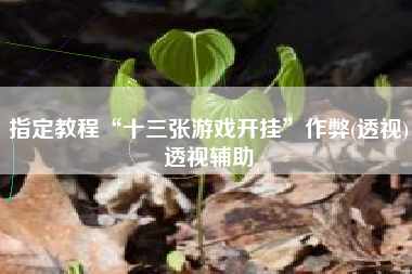 指定教程“十三张游戏开挂”作弊(透视)透视辅助