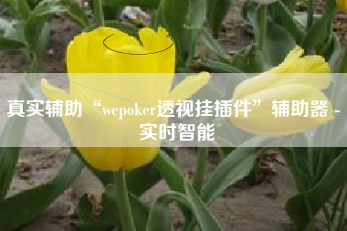 真实辅助“wepoker透视挂插件”辅助器 - 实时智能