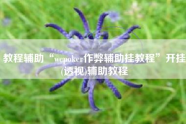 教程辅助“wepoker作弊辅助挂教程”开挂(透视)辅助教程