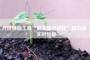 开挂辅助工具“朋友局透视挂	”辅助器 - 实时智能