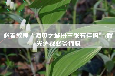 必看教程“海贝之城拼三张有挂吗”(曝光透视必备猫腻