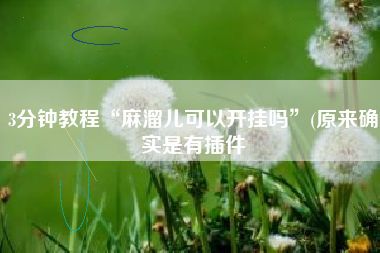 3分钟教程“麻溜儿可以开挂吗	”(原来确实是有插件