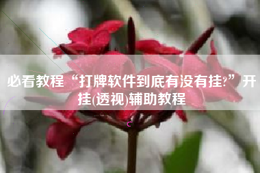 必看教程“打牌软件到底有没有挂?”开挂(透视)辅助教程