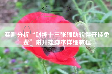 实测分析“财神十三张辅助软件开挂免费”附开挂脚本详细教程