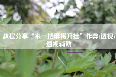 教程分享“来一把麻将开挂”作弊(透视)透视辅助
