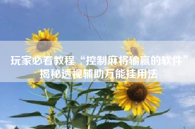 玩家必看教程“控制麻将输赢的软件	”揭秘透视辅助万能挂用法