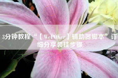 3分钟教程“【WePOKer】辅助器脚本	”详细分享装挂步骤