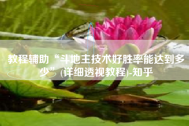 教程辅助“斗地主技术好胜率能达到多少”(详细透视教程)-知乎