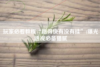 玩家必看教程“跑得快有没有挂	”(曝光透视必备猫腻