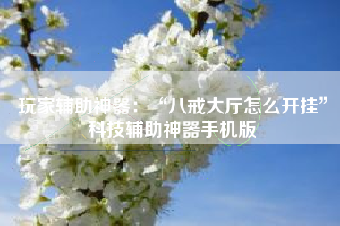 玩家辅助神器：“八戒大厅怎么开挂	”科技辅助神器手机版