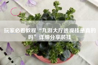 玩家必看教程“九游大厅透视挂是真的吗	”详细分享装挂