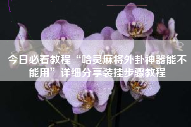 今日必看教程“哈灵麻将外卦神器能不能用	”详细分享装挂步骤教程