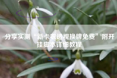 分享实测“新卡农透视换牌免费	”附开挂脚本详细教程