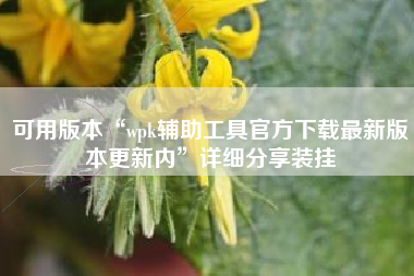 可用版本“wpk辅助工具官方下载最新版本更新内”详细分享装挂