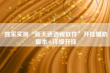 独家实测“新天道透视软件”开挂辅助脚本+详细开挂