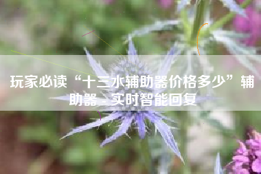 玩家必读“十三水辅助器价格多少”辅助器 - 实时智能回复