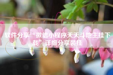 软件分享“微信小程序天天斗地主挂下载	”详细分享装挂